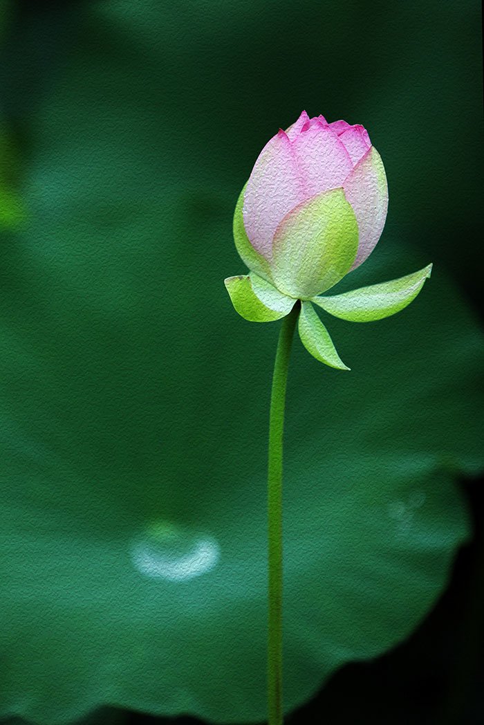 KJW_7788.jpg : 또 다른 일상