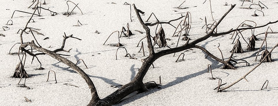 CE3A9255-2jpgresize.jpg : The Gallery   Lee  BoTong -2