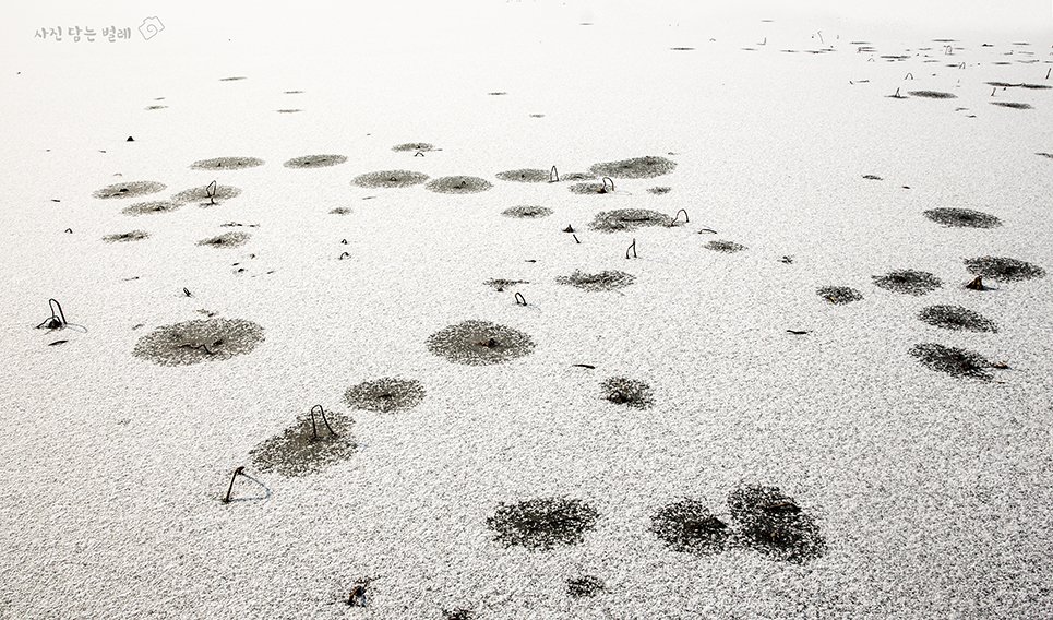 CE3A9803-2framejpgresize.jpg : The Gallery   Lee  BoTong -2