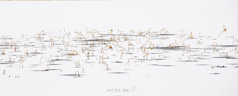 CE3A9764-1frameresize.jpg : The Gallery   Lee  BoTong -2