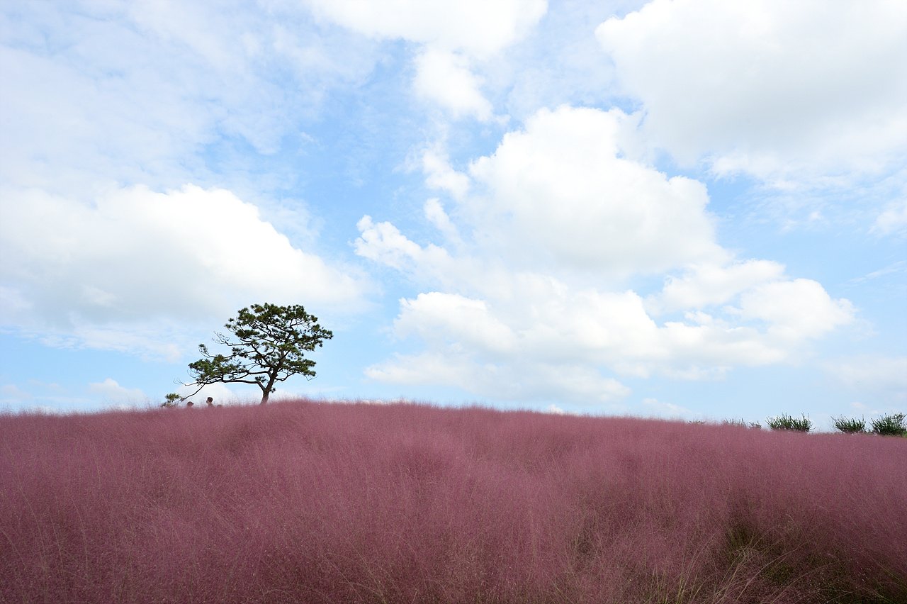 _DSC9857.jpg : 안성 팜랜드 10월9일 상황입니다