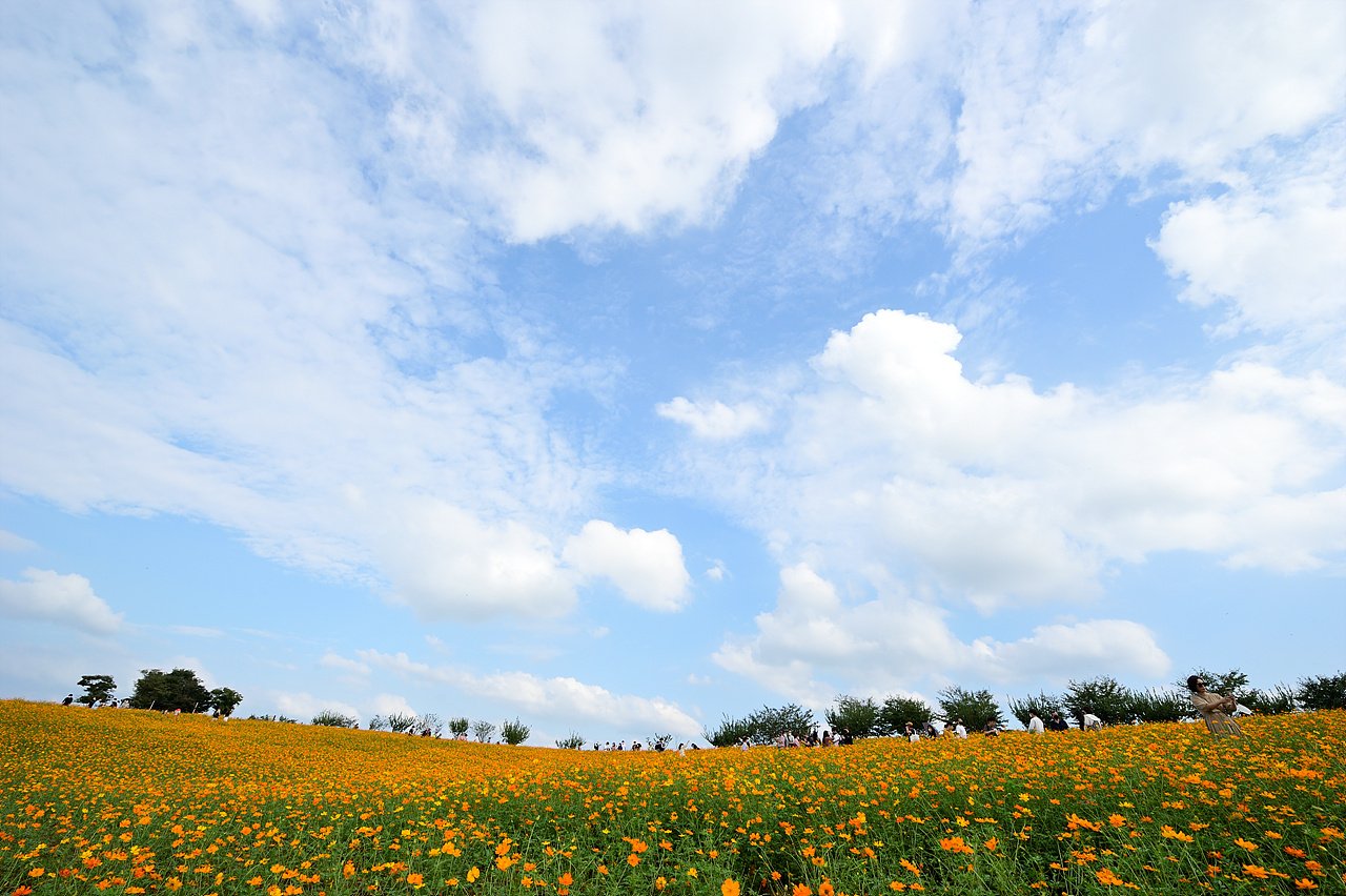 _DSC9851.jpg : 안성 팜랜드 10월9일 상황입니다