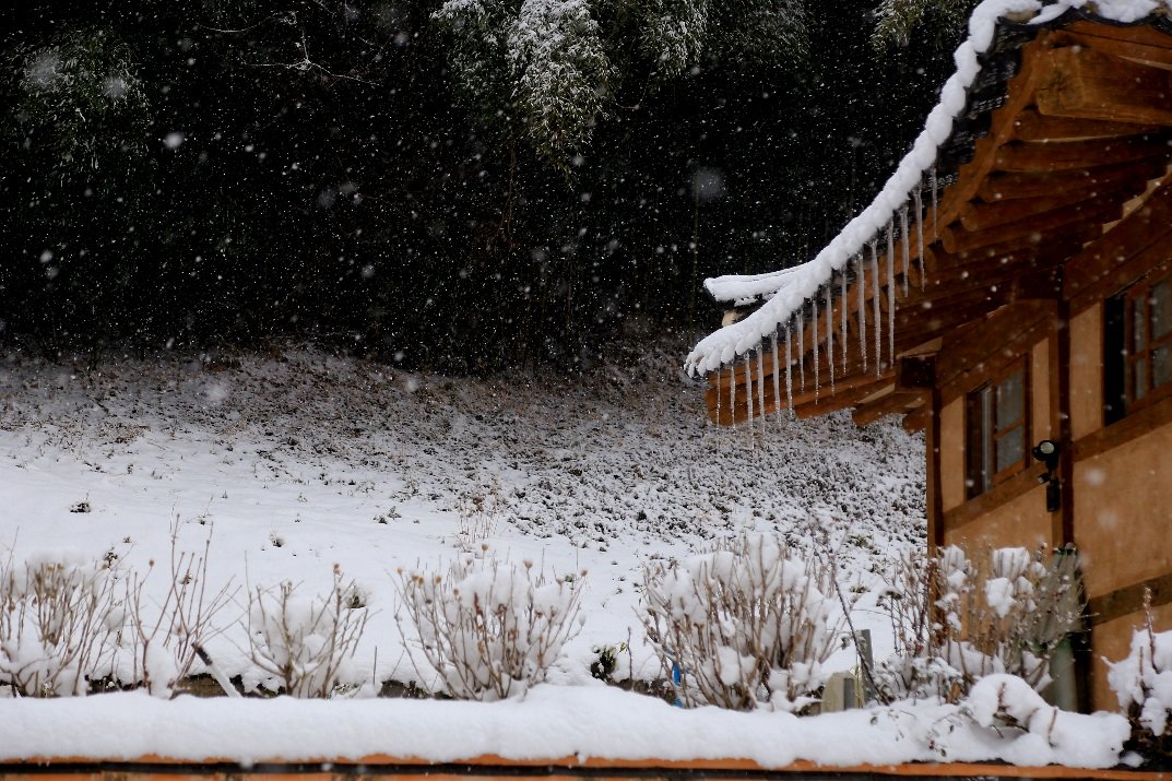 고드름2.jpg : 고드름