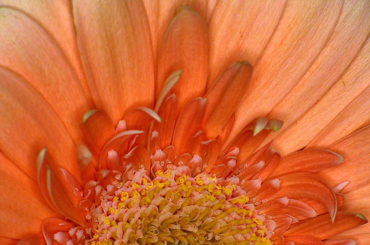 _DSC2269.jpg : 봄 마중 준비