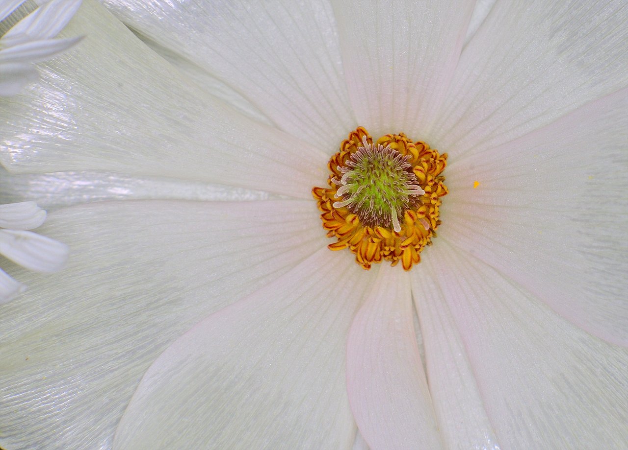 _DSC2261.jpg : 봄 마중 준비