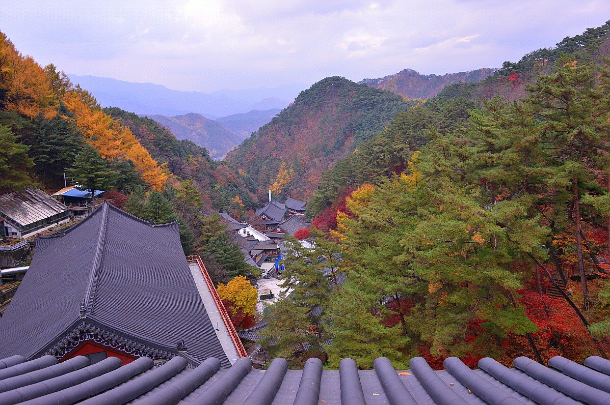 BandPhoto_16355296842.jpg : 구인사