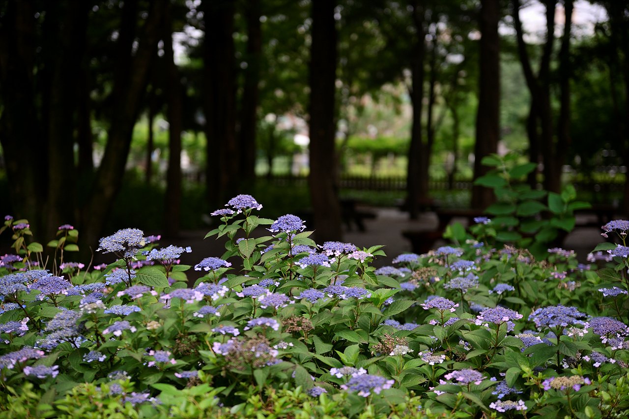 _DSC8353.jpg : 정모 숙제