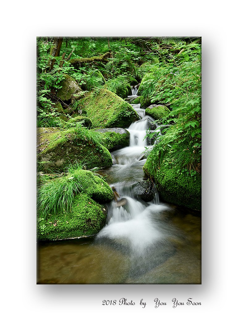 DSC_4551-r.jpg : 이끼계곡