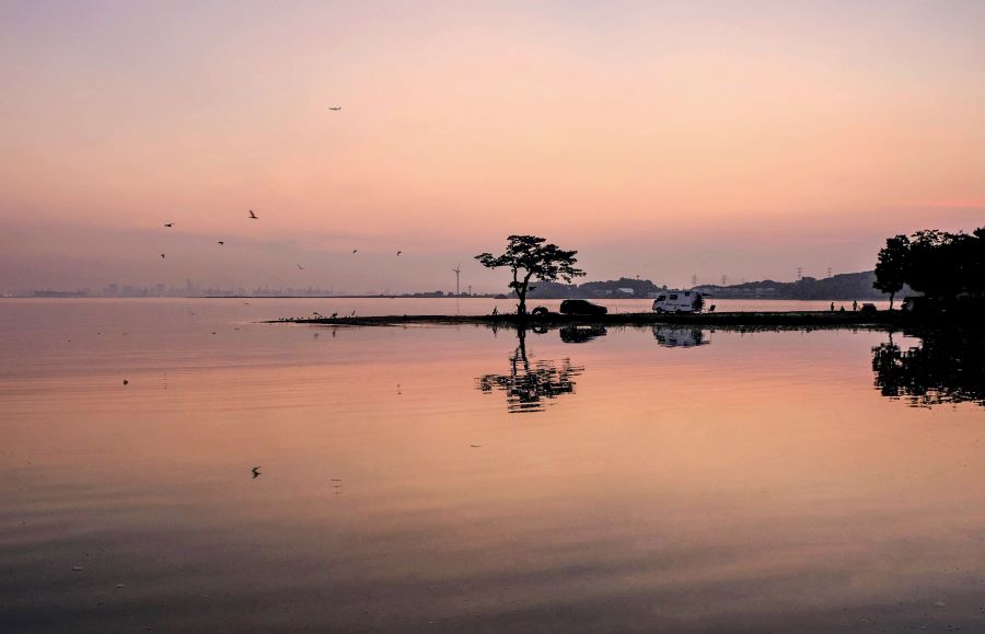 DSCF0728-ss.jpg : 번개숙제 DSCF0728-ss.jpg : 번개숙제