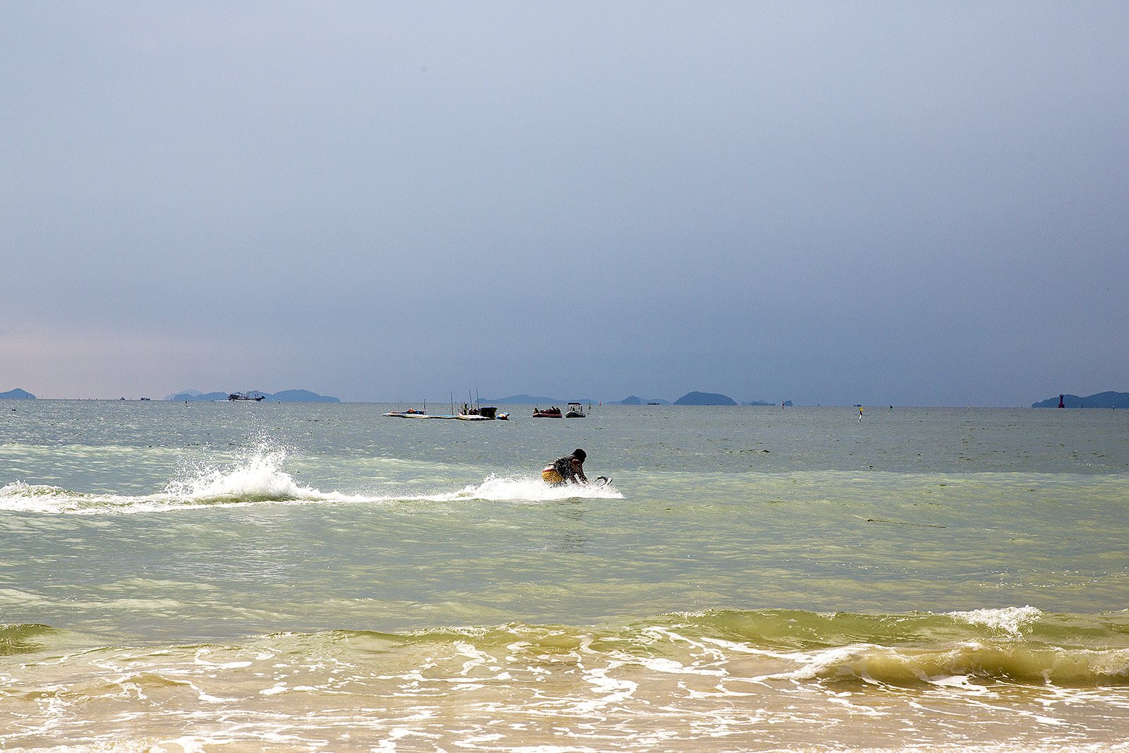 20190828-D55A0200-2.jpg : 여름을 보내면...