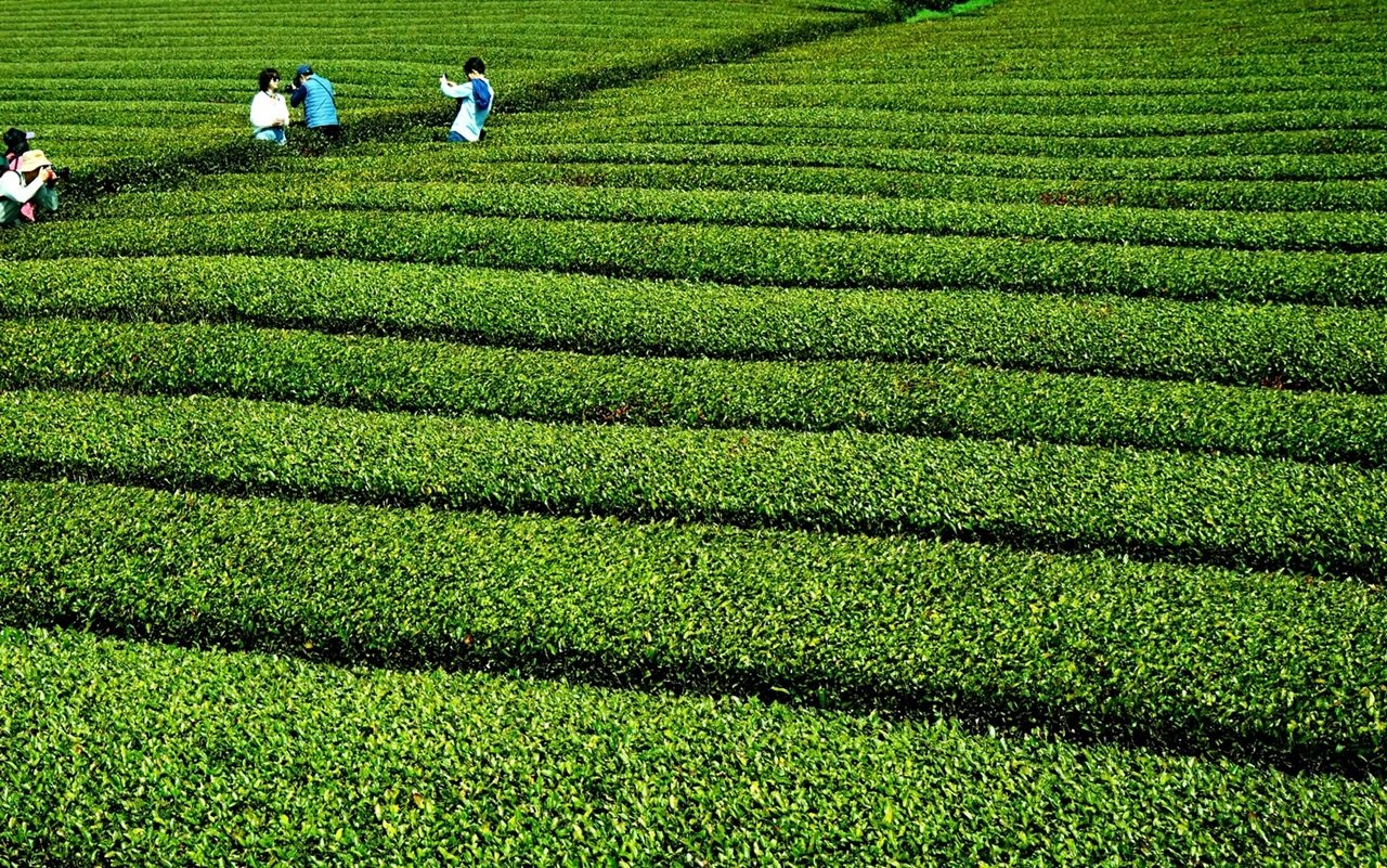 DSC07787.JPG : 정모의  추억