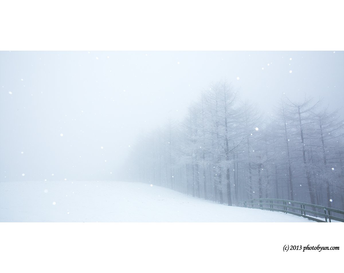 Q23C8837.jpg : 설경