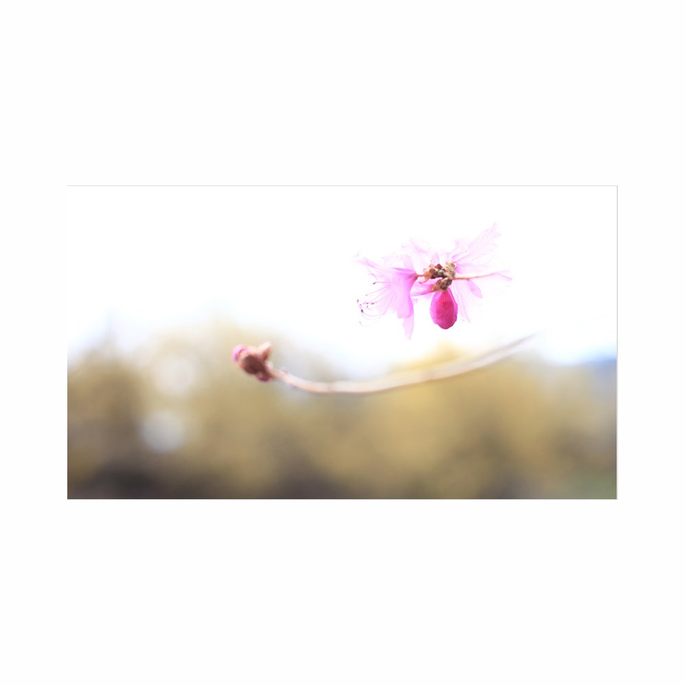 IMG_6507-1.jpg : 나보기가 엮겨워...