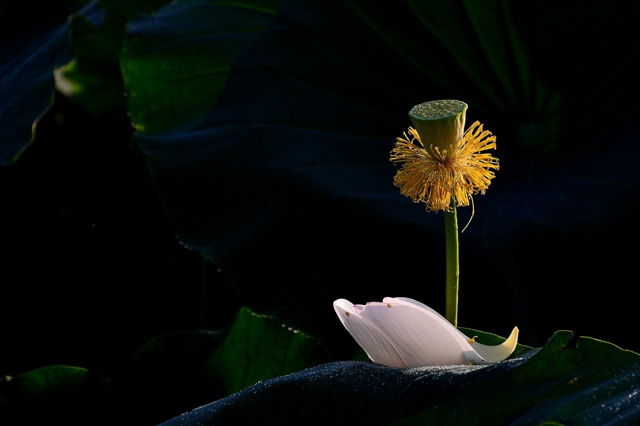 BandPhoto_9548242212.jpg : 연 연~~