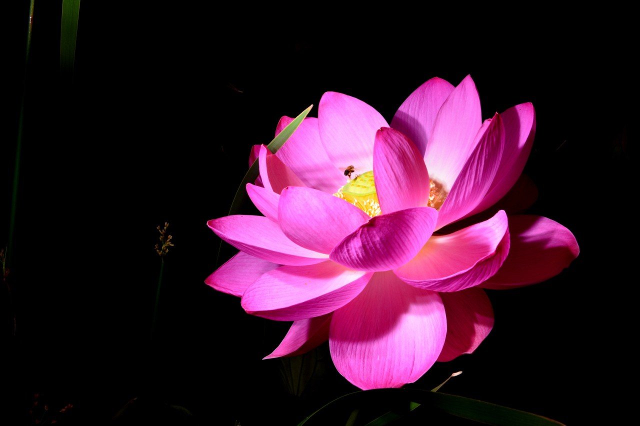 BandPhoto_9548242259.jpg : 연 연~~