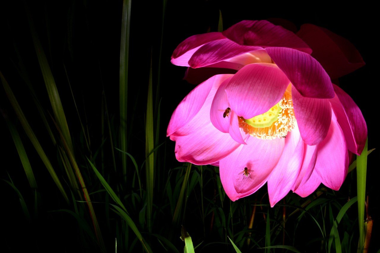 BandPhoto_9548242253.jpg : 연 연~~