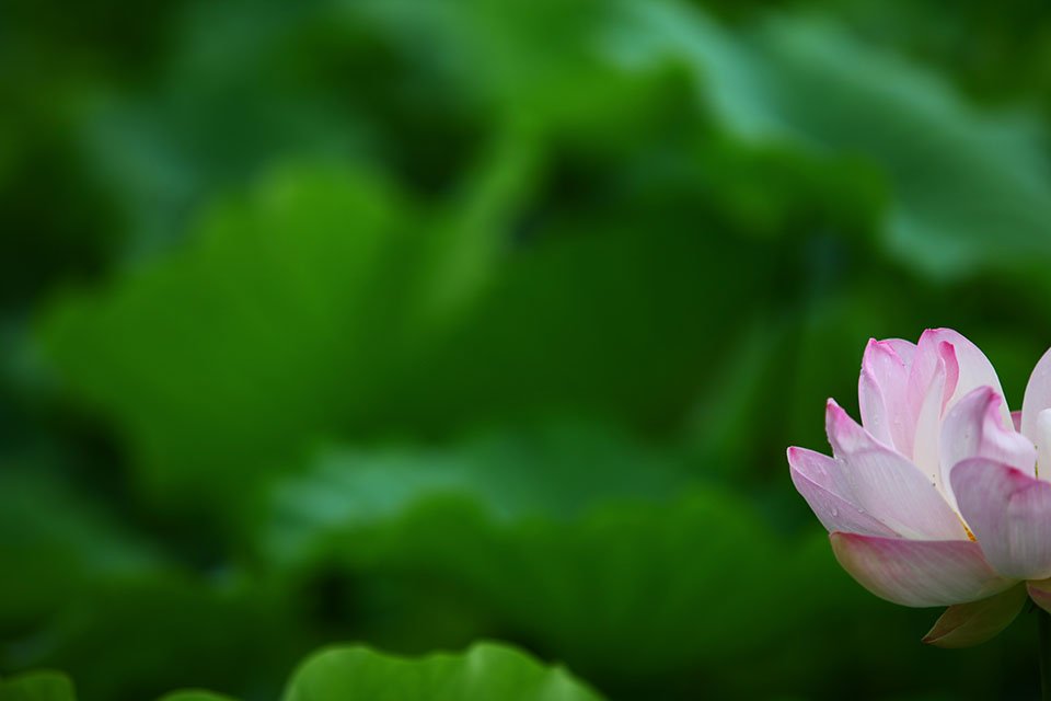 KakaoTalk_20220722_111348048----1.jpg : 휘리릭....