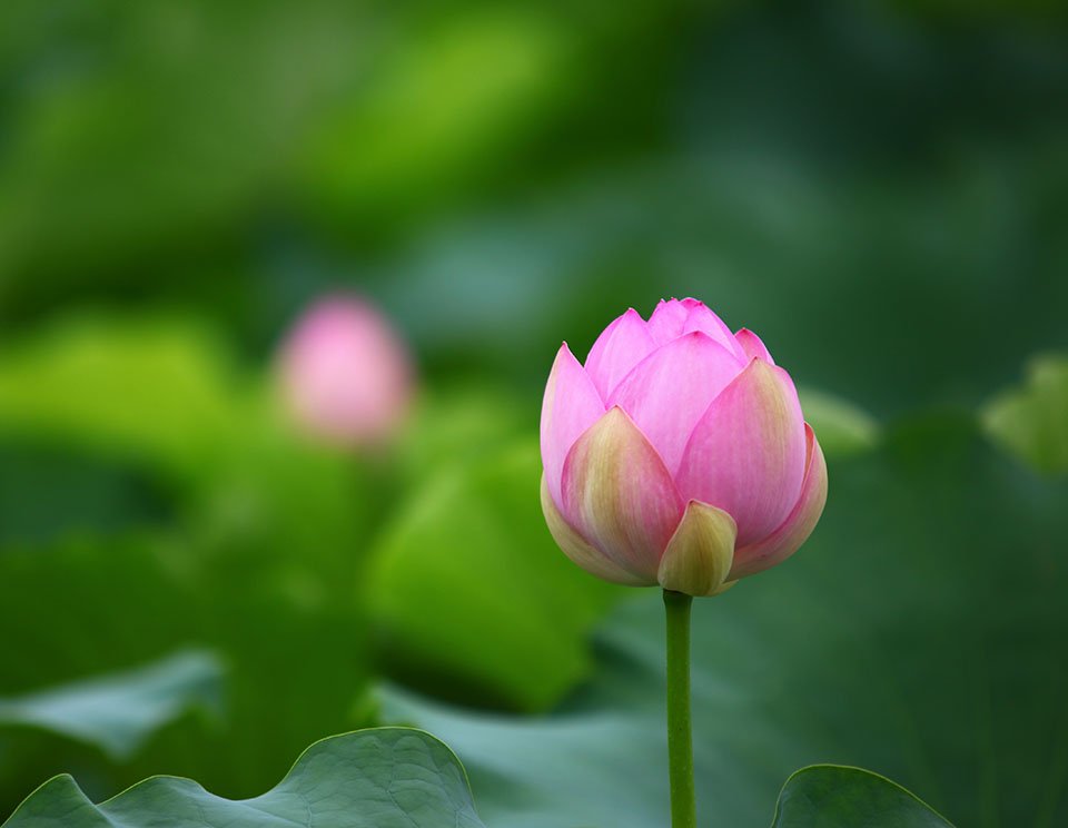 KakaoTalk_20220722_110915493--1.jpg : 휘리릭....