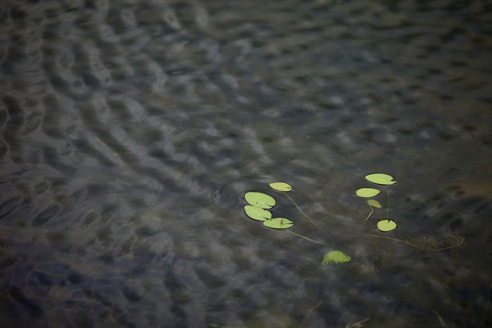 KakaoTalk_20220721_181715687.jpg : 휘리릭....