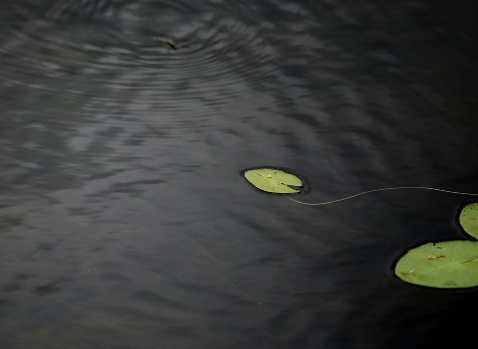 KakaoTalk_20220722_105623511---1.jpg : 휘리릭....