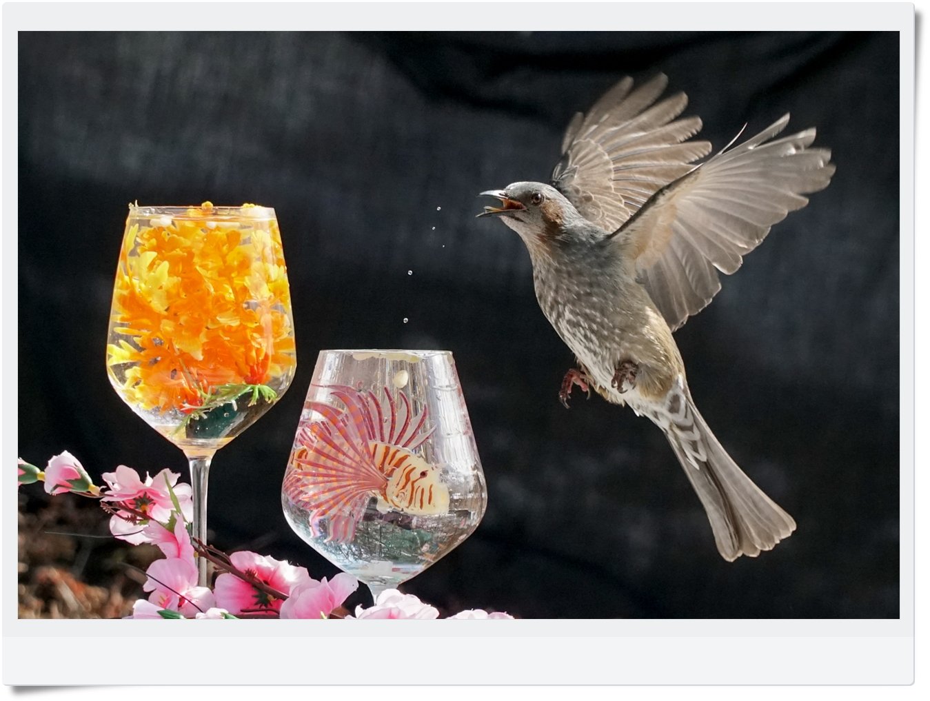 SON02549.jpg : 도촬했습니다.