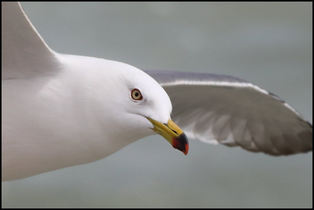 8U8A62801.jpg : 원본 Vs. Crop