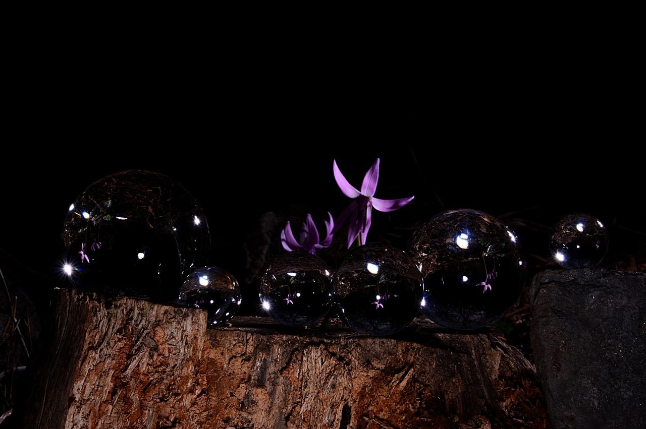 BandPhoto_8550783589.jpg : 얼레지와 칭구들