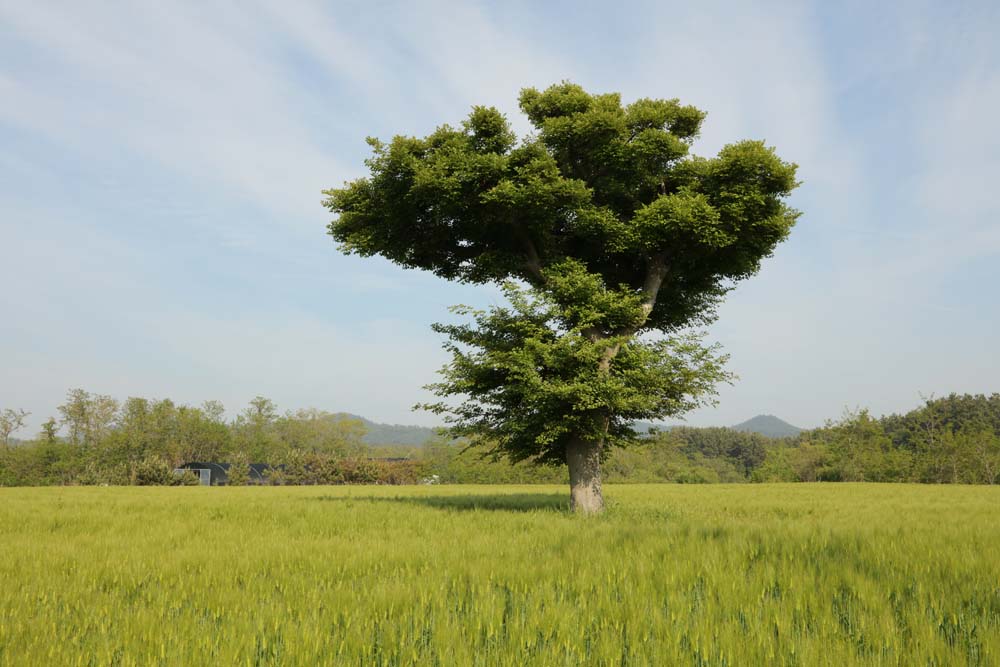 3T0A0619.JPG : 풍경