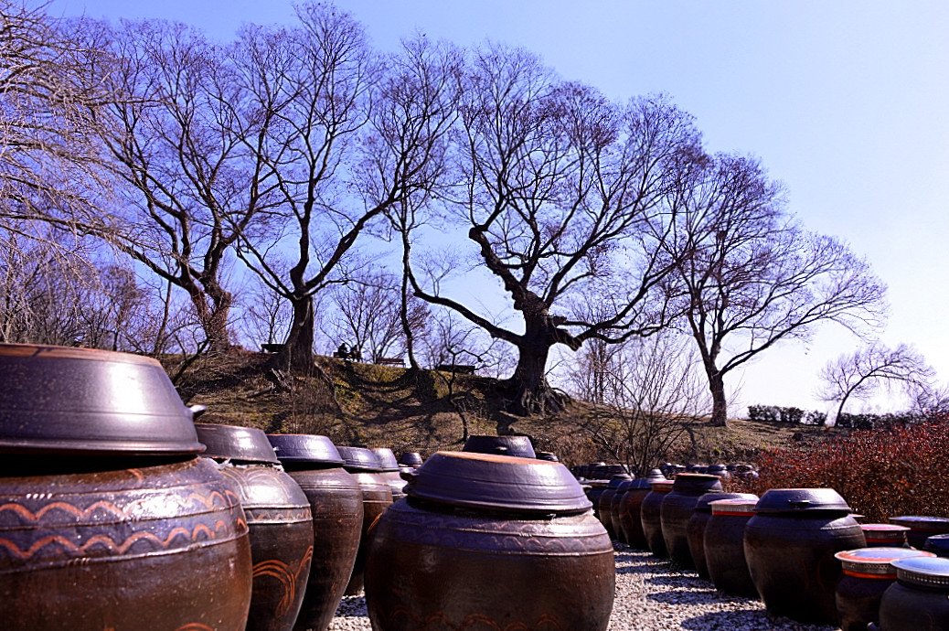 DSC_1794.JPG : 면회를 다녀오면서