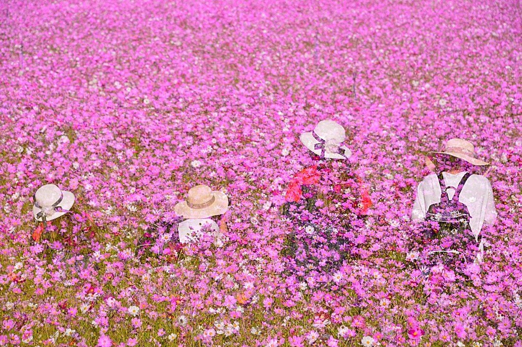 BandPhoto_10327768203.jpg : 철원군 십리길