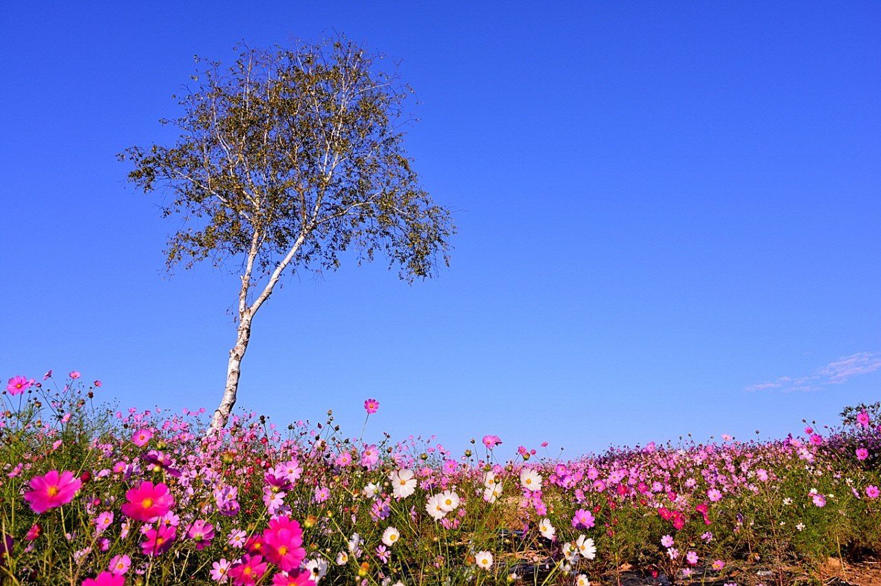 BandPhoto_10327729011.jpg : 철원군 십리길