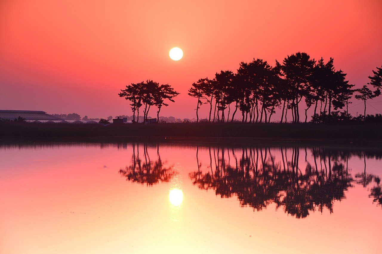 BandPhoto_2021_01_01_07_53_44.jpg : 행복한 하루