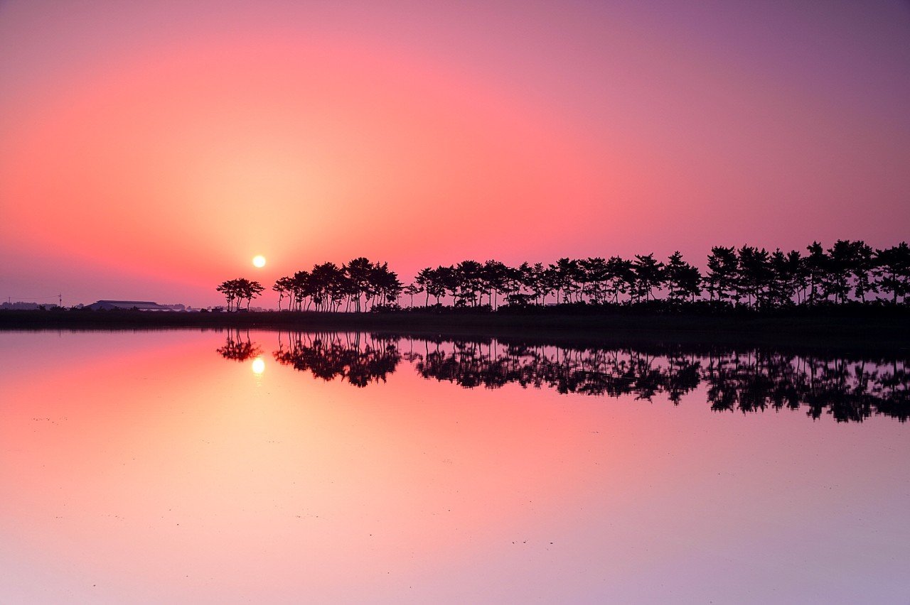 BandPhoto_2021_01_01_07_53_38.jpg : 행복한 하루