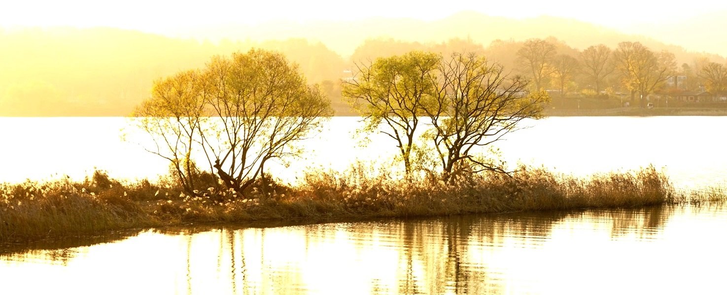 DSC09310.JPG : 휴---정모숙제 올립니다