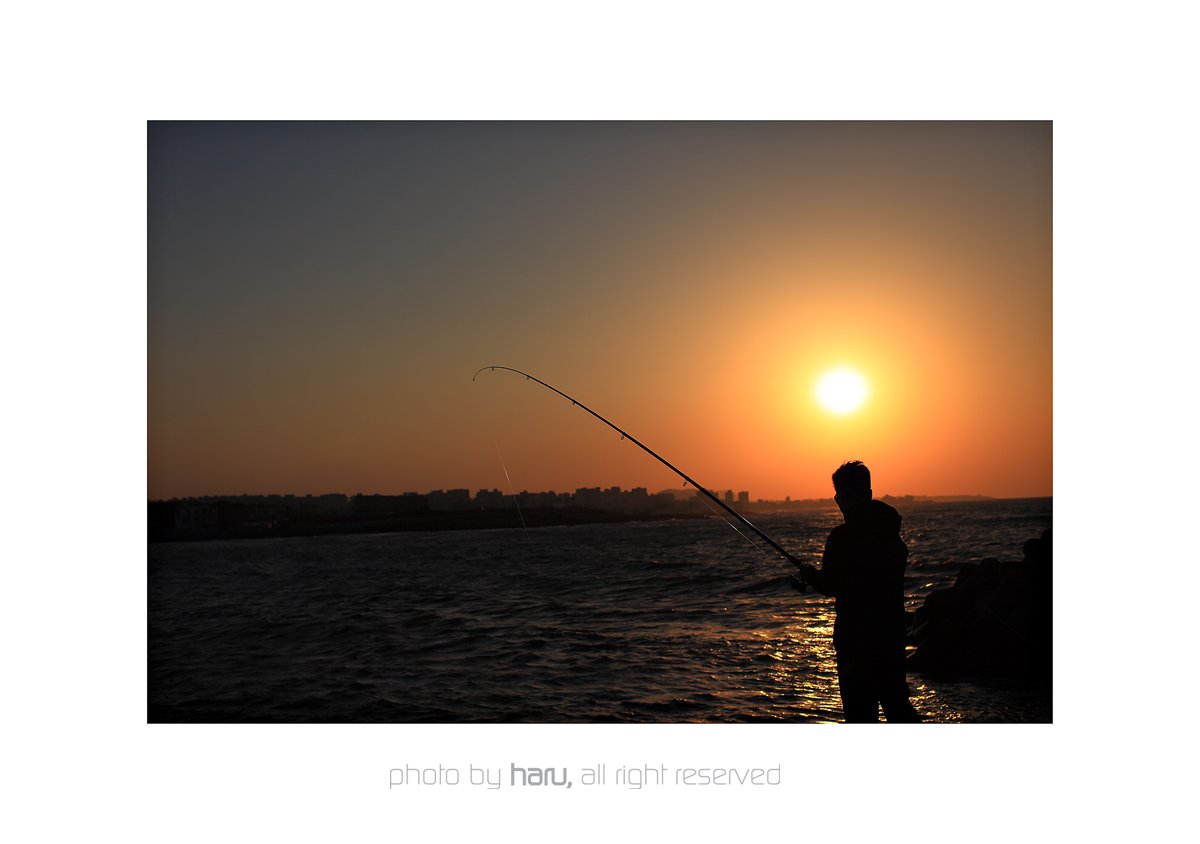 IMG_1904-1.jpg : .. IMG_1904-1.jpg : ..