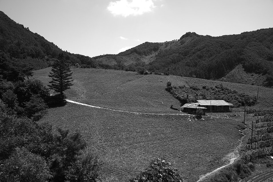 L1016845.JPG : 마음의고향