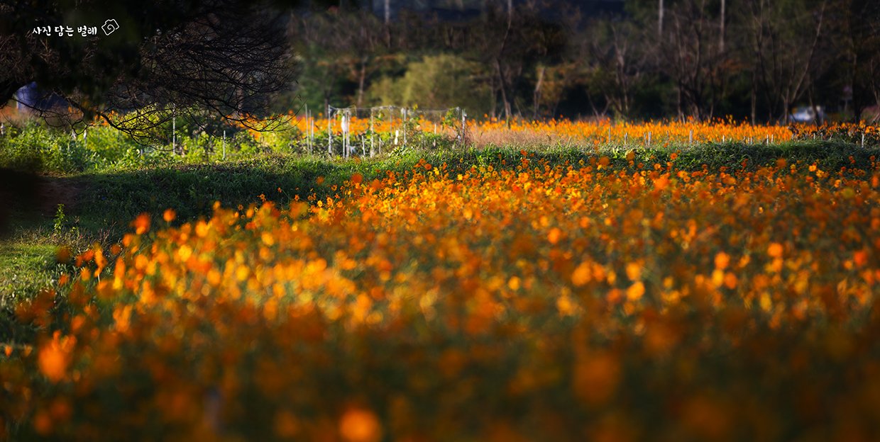 CE3A7843-2resize.jpg : 벙개숙제