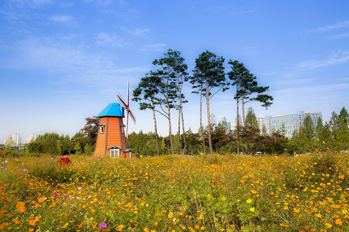 20190928-D55A0159-3.jpg : 가을 하늘