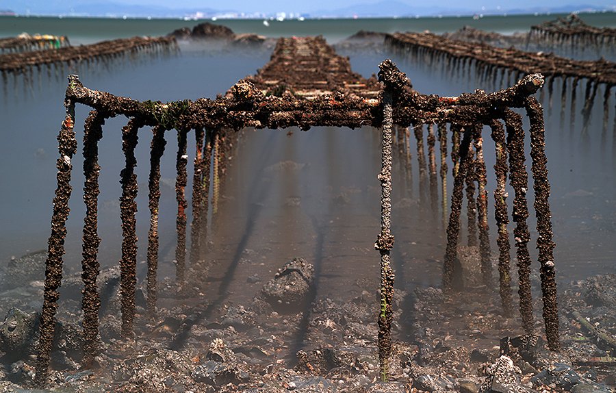 DSC_2549영흥도.jpg : 김양식장에서