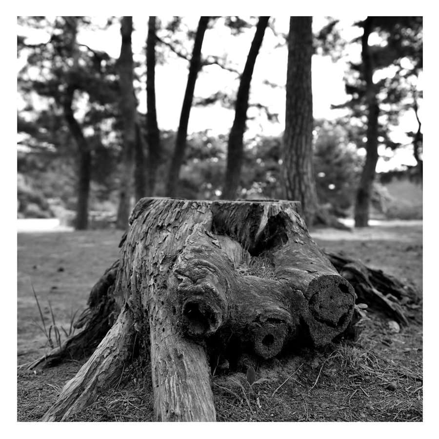 잃어버린 삶.jpg : 테스트 샷