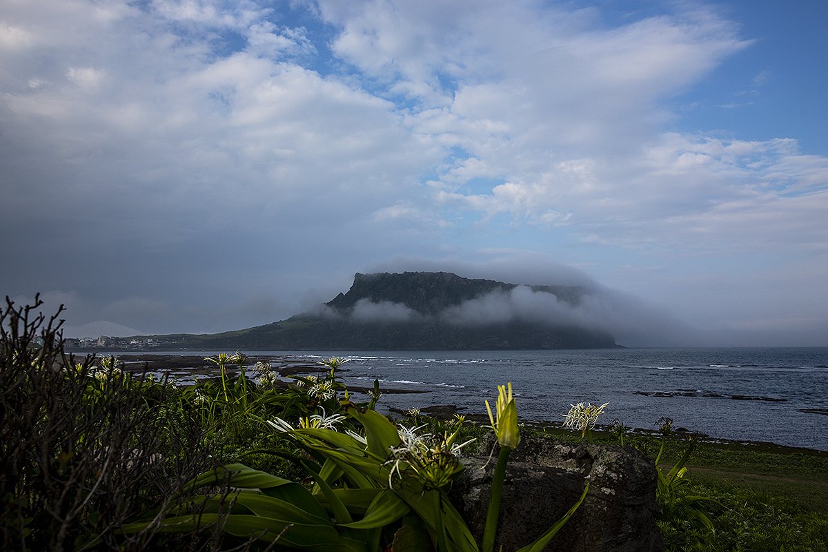 문주란-444.jpg : 성산일출봉 & 문주란