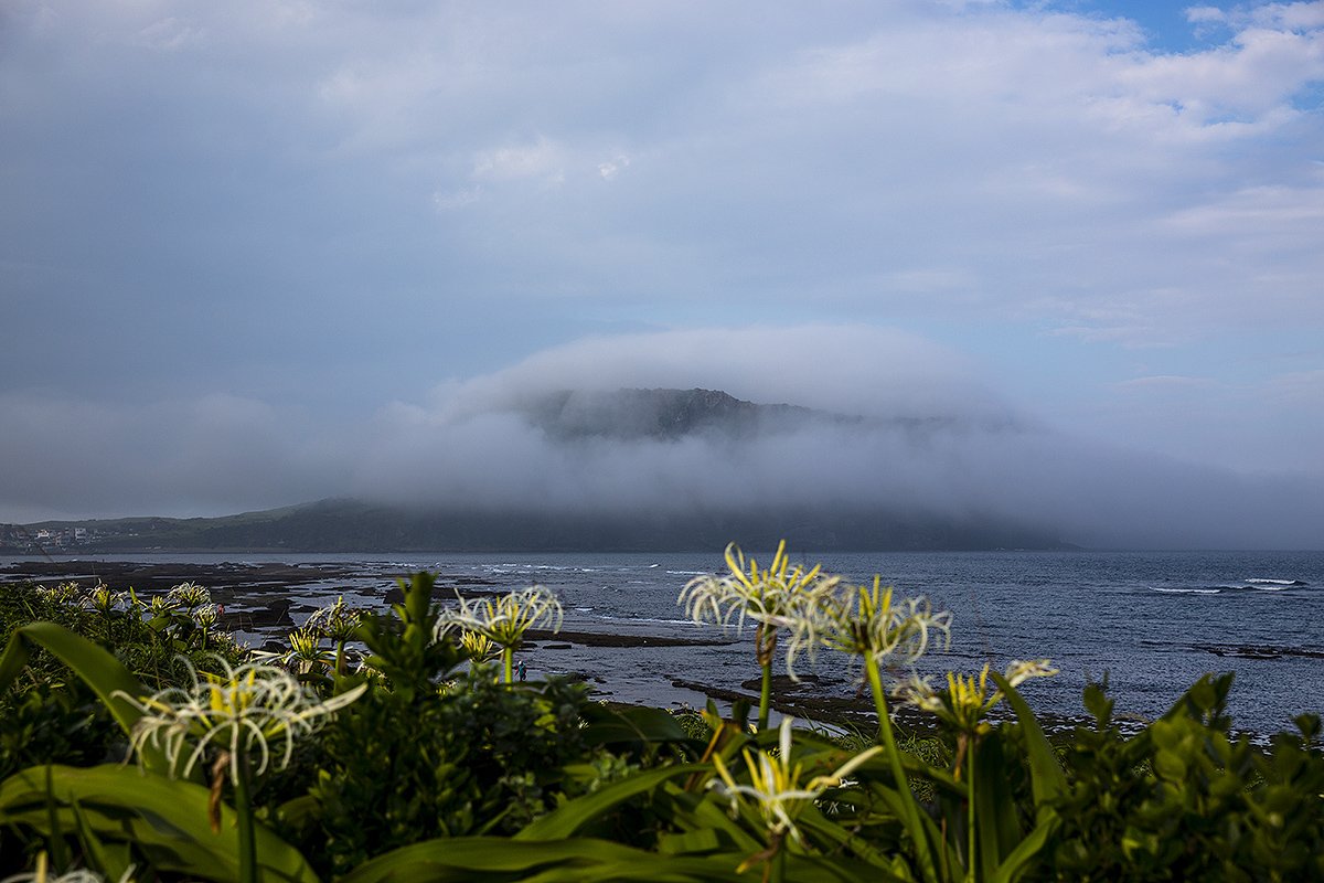 문주란-111.jpg : 성산일출봉 & 문주란