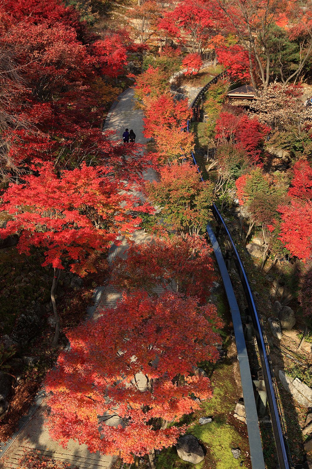 IMG_0291-.jpg : 화담숲