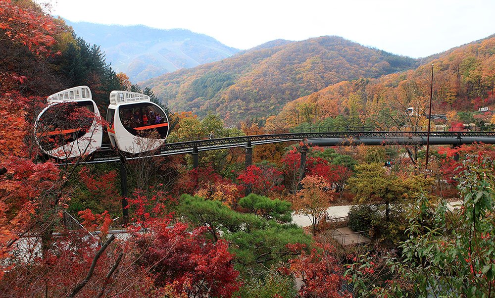 IMG_0395-.jpg : 화담숲