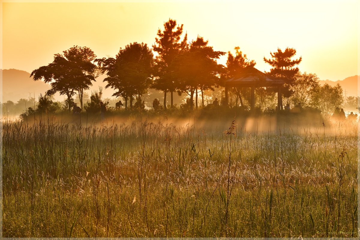 DSC_7902J1201.jpg : 빛내림이 있는~~