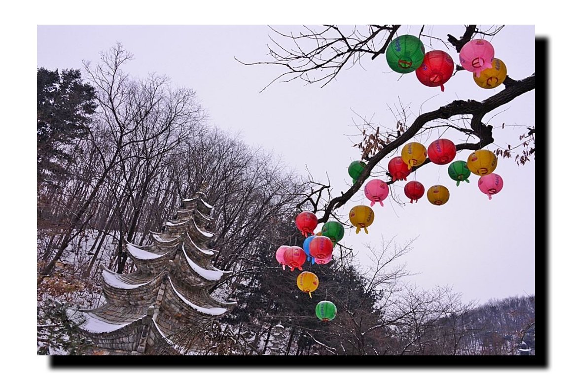 IMG_20180114_111448.jpg : 겨울이야기ㅡ와우정사