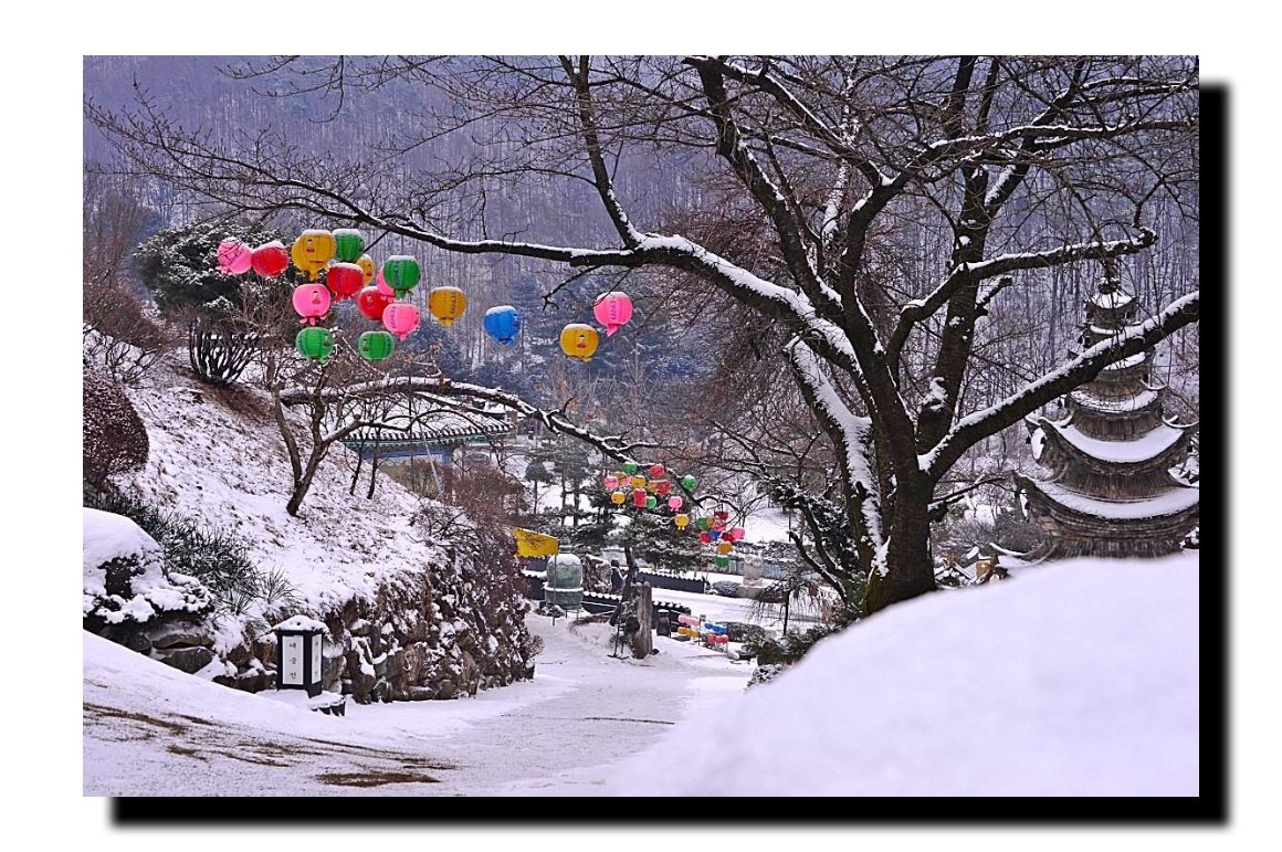 IMG_20180114_111609.jpg : 겨울이야기ㅡ와우정사