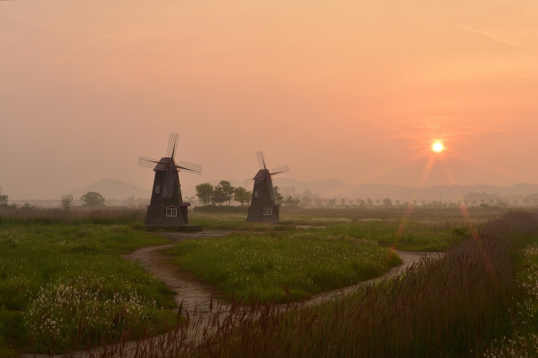 DSC_1206.JPG : 소래생태공원~~