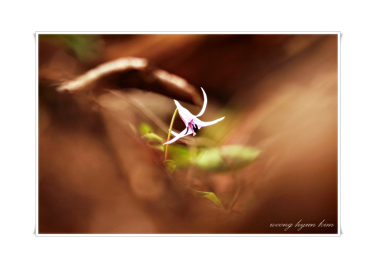 IMG_0480.JPG : 정모인증