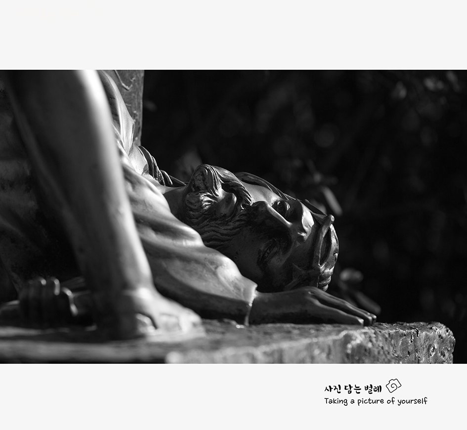 CE3A1120  resize.jpg : 공세리 성당에서